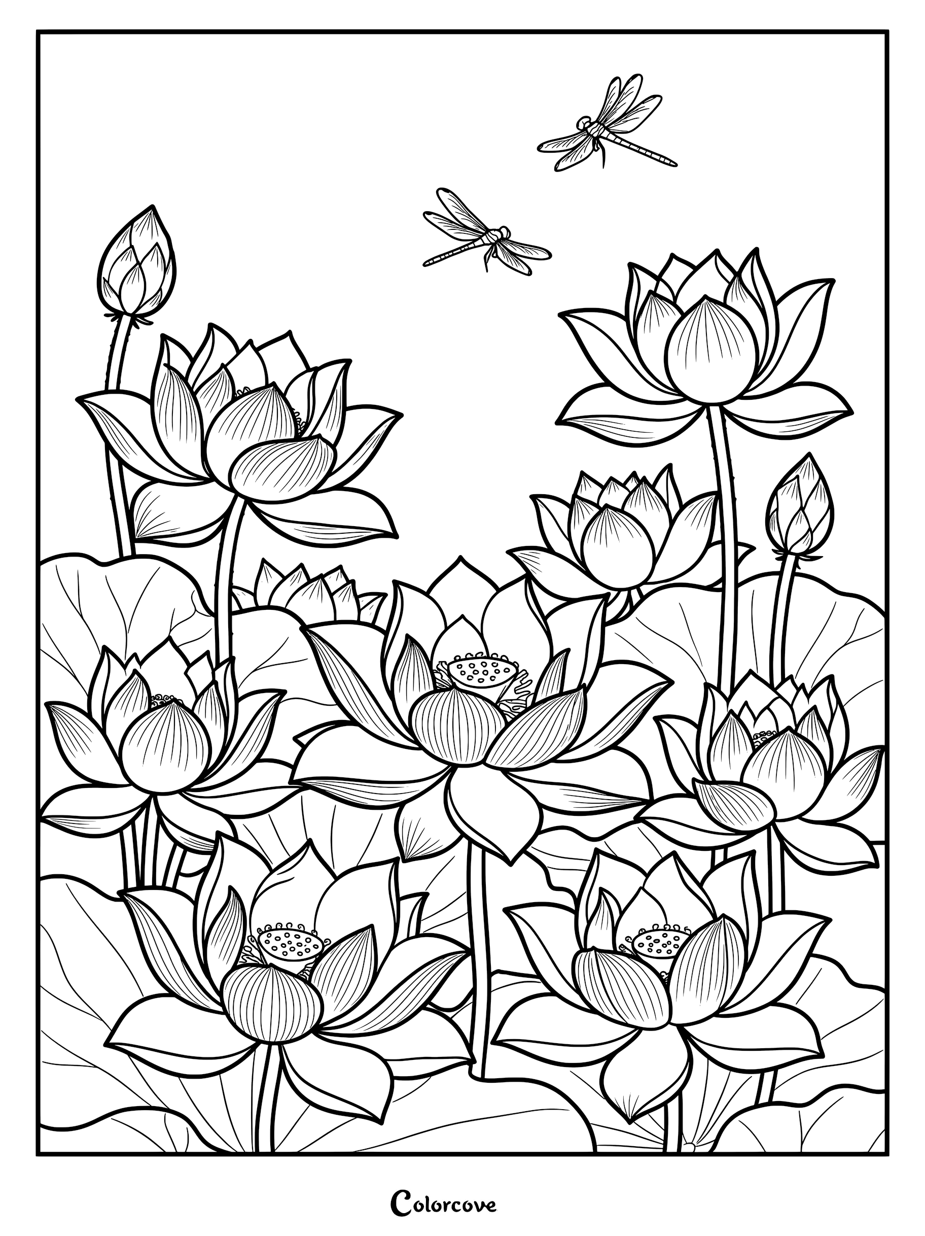Intricate line art coloring page featuring multiple blooming lotus flowers, buds, and two dragonflies flying above lily pads.