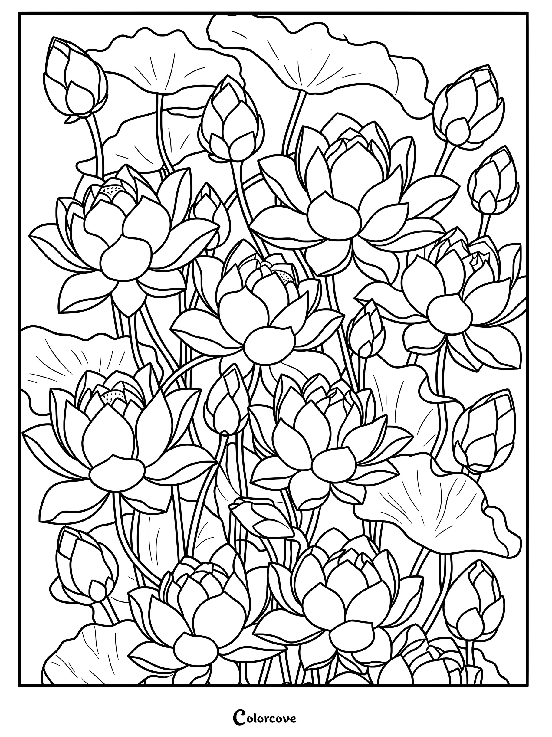 A detailed lotus flower coloring page featuring multiple blooming flowers and closed buds surrounded by large lily pads.
