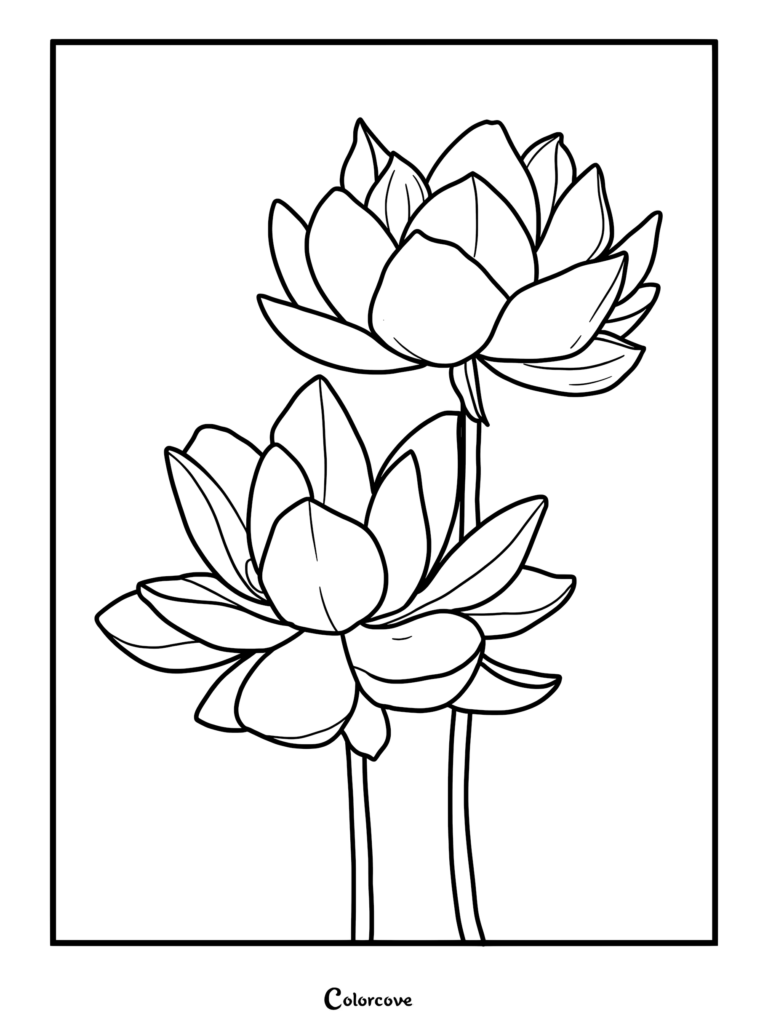 Two blooming lotus flowers with layered petals on long stems in a simple coloring page style.