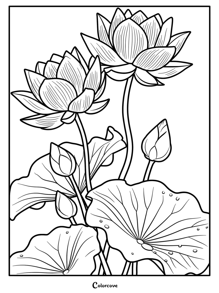 A detailed coloring page featuring two blooming lotus flowers with three buds and large lily pads.