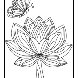 Lotus flower and butterfly coloring page, intricate design for stress relief and creativity.