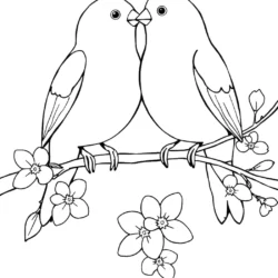 32 Free Lovebirds Coloring Pages