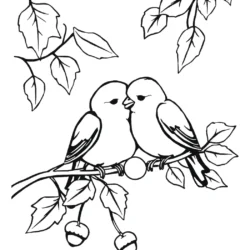 32 Free Lovebirds Coloring Pages