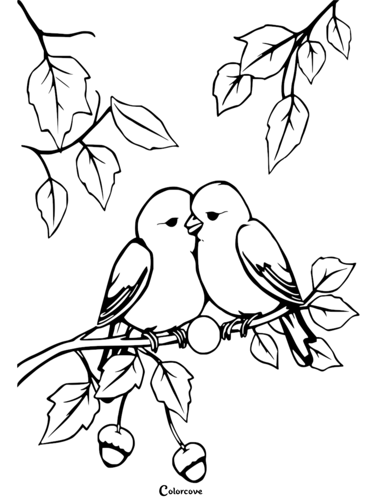 Deux inséparables perchés sur une branche avec des glands dans un coloriage à imprimer.