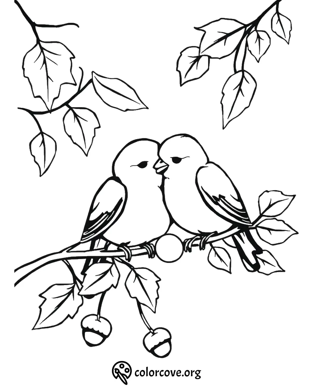 Two birds sitting on a branch amid leaves and acorns in a coloring page.