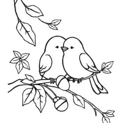 32 Free Lovebirds Coloring Pages