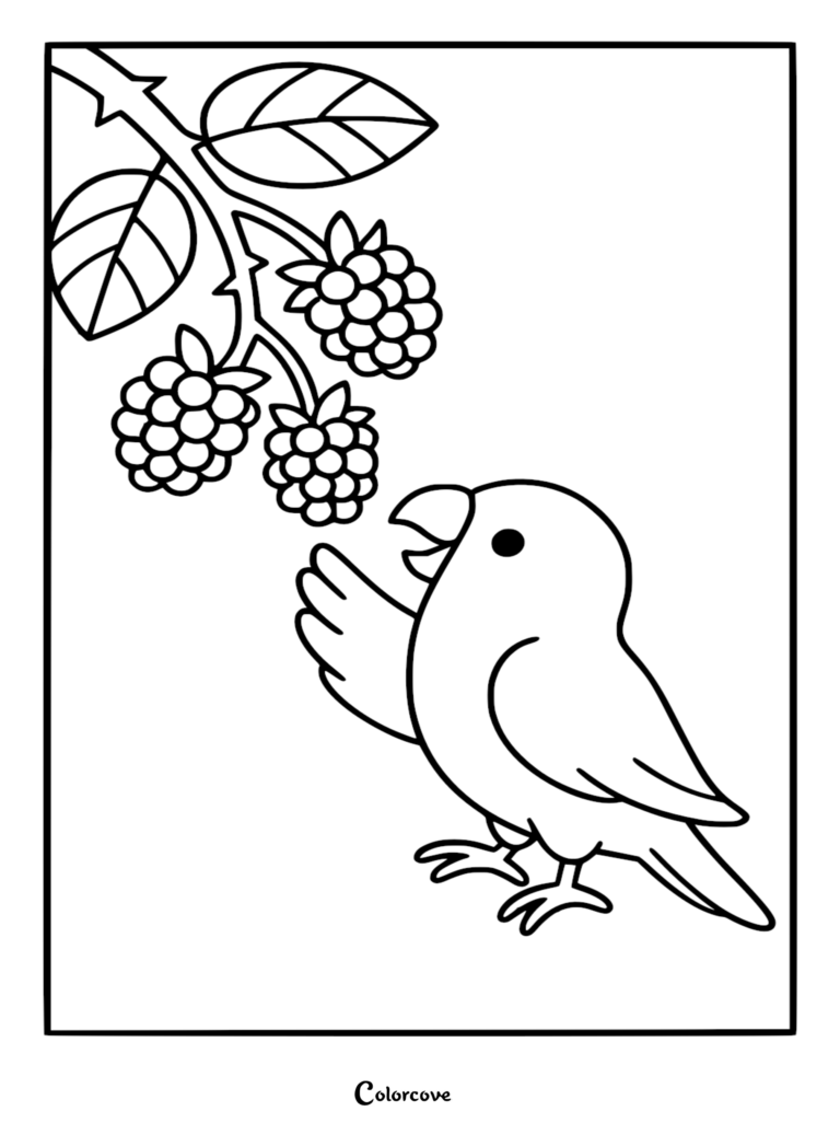 Un inséparable mignon tendant le bec vers une grappe de mûres sur une branche dans ce coloriage à imprimer.