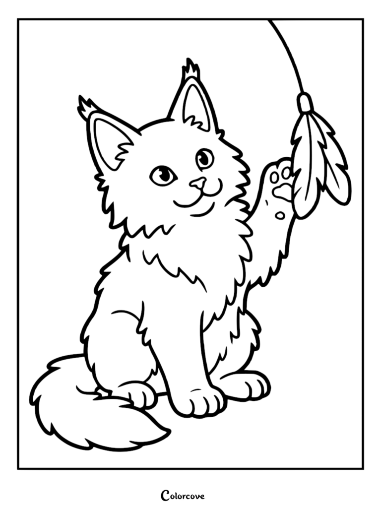 A cute Maine Coon kitten playing with a feather toy in this printable coloring page.