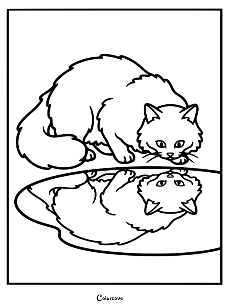 A fluffy Maine Coon cat looking at its own reflection in a puddle in this free printable coloring page.