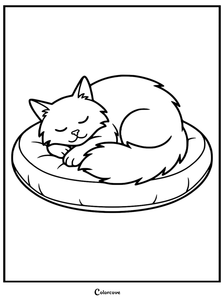 A fluffy Maine Coon sleeping curled up on a round cushion in this printable coloring page.