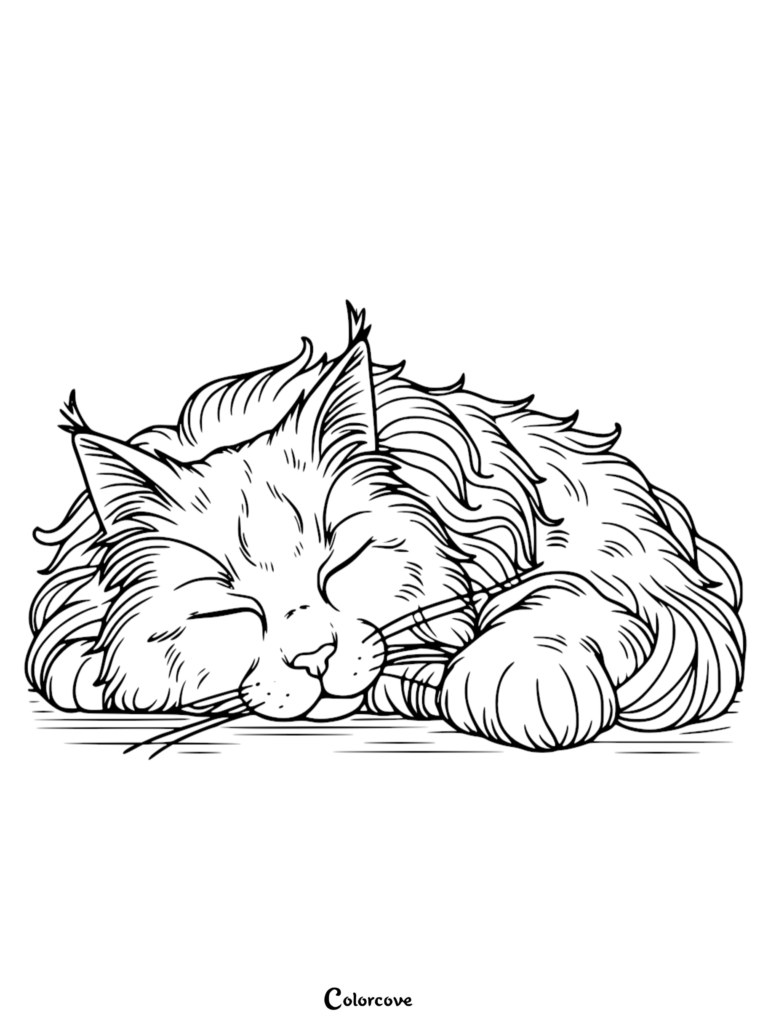 A detailed Maine Coon coloring page featuring a fluffy cat sleeping peacefully with tufted ears.