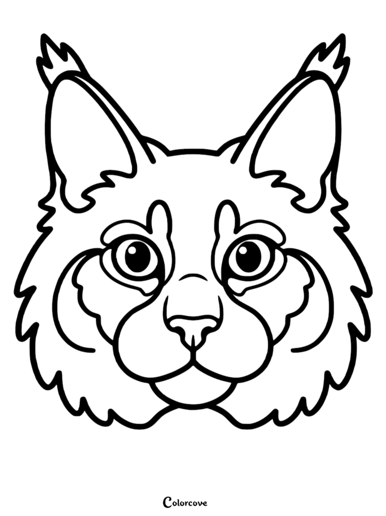 A detailed Maine Coon coloring page featuring a close-up portrait of the cat with distinctive tufted ears.
