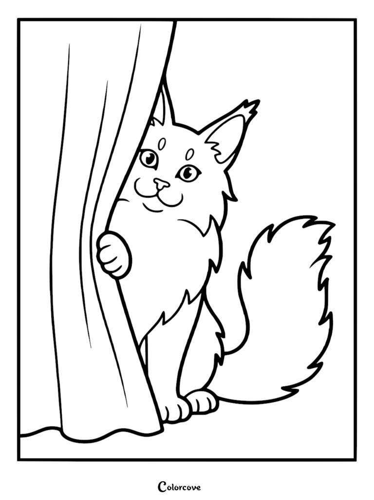 A Maine Coon peeking from behind a curtain in this free printable coloring page.