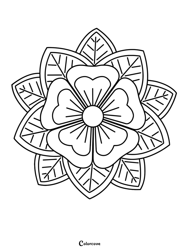 A simple floral mandala coloring page featuring a central five-petaled flower surrounded by a layer of pointed, veined leaves.