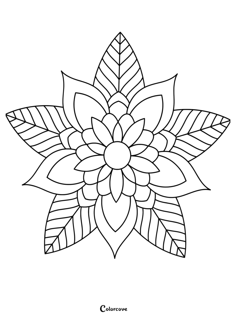 symmetrical five-petal flower mandala with leaf-textured petals.