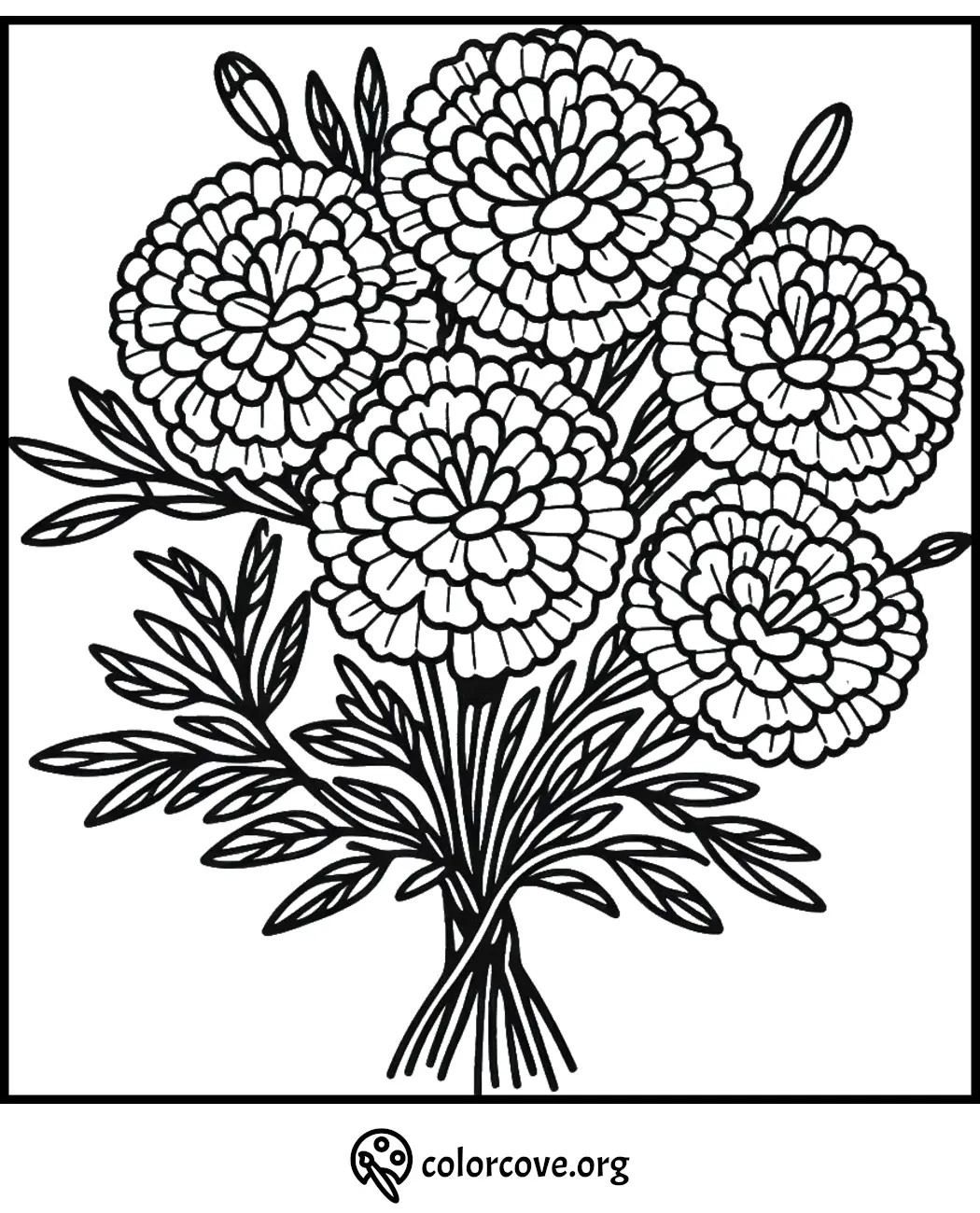 Marigold flower bouquet coloring page for relaxation and creativity. Printable floral design.