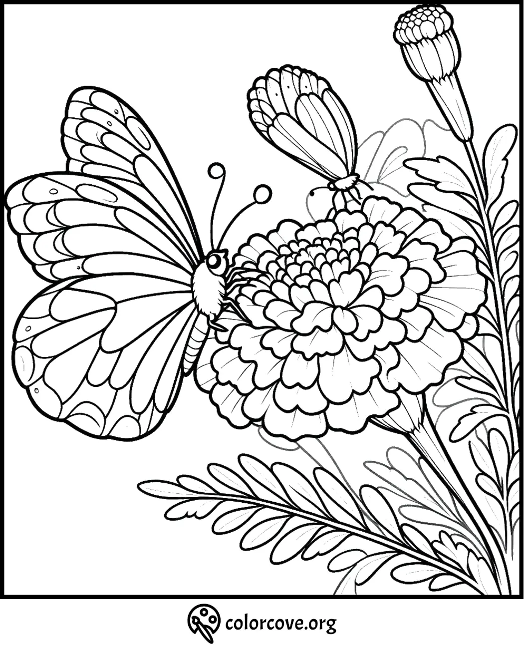 Butterfly on flower coloring page for kids and adults, intricate floral design with butterfly outlines.