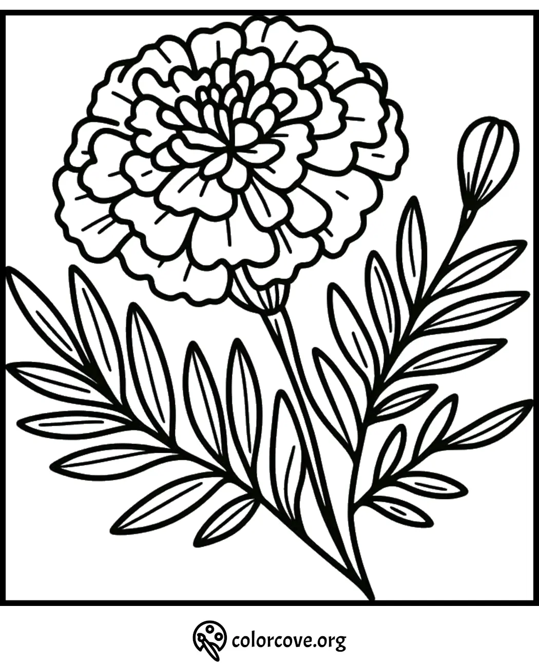 Flower coloring page with detailed petals and leaves, perfect for relaxation and creativity activities.