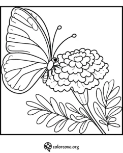 Butterfly on a marigold flower coloring page for kids and adults. Printable nature-themed art from ColorCove.org.