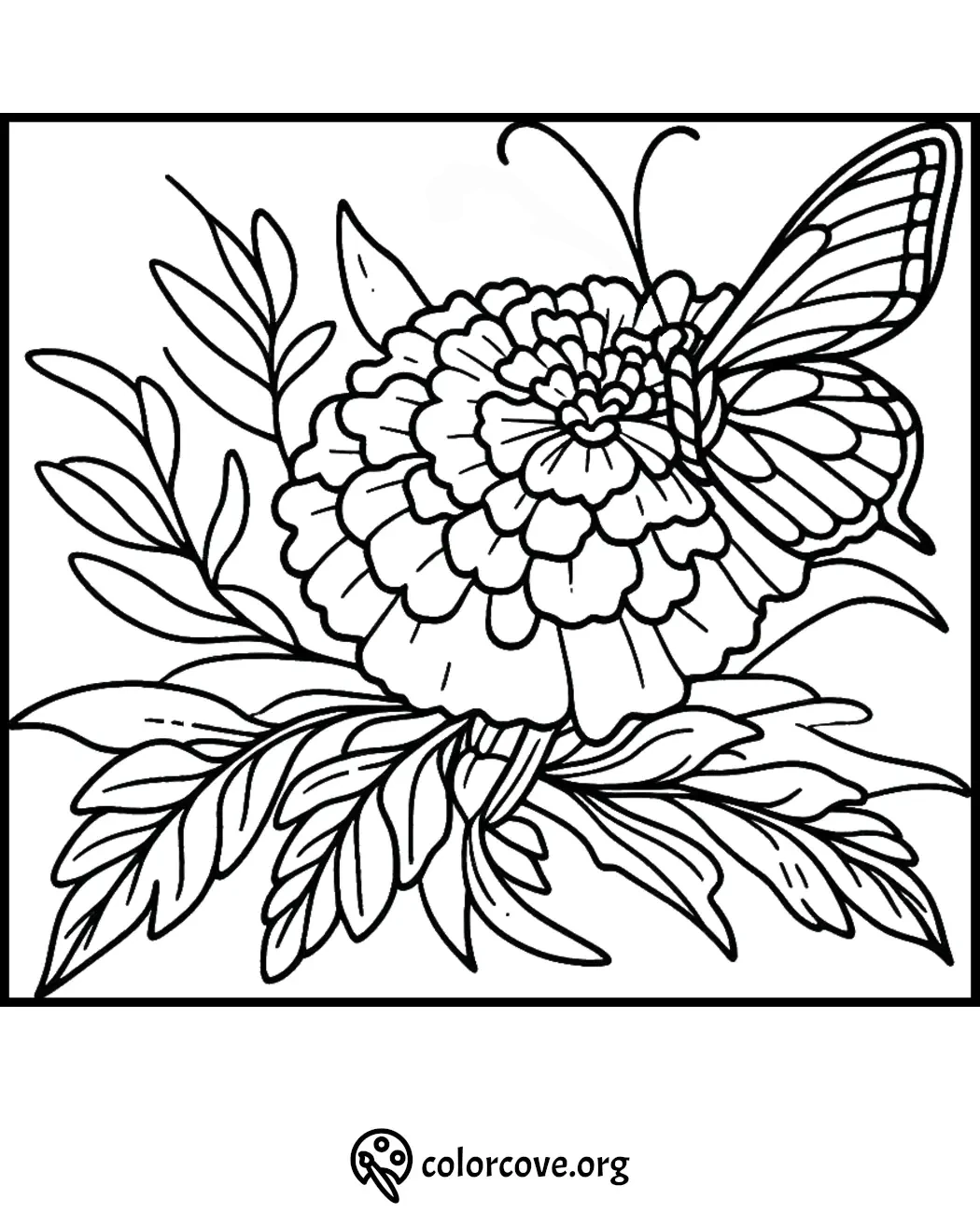 Butterfly on flower coloring page, intricate design for adults and kids. Perfect for relaxation and creativity.