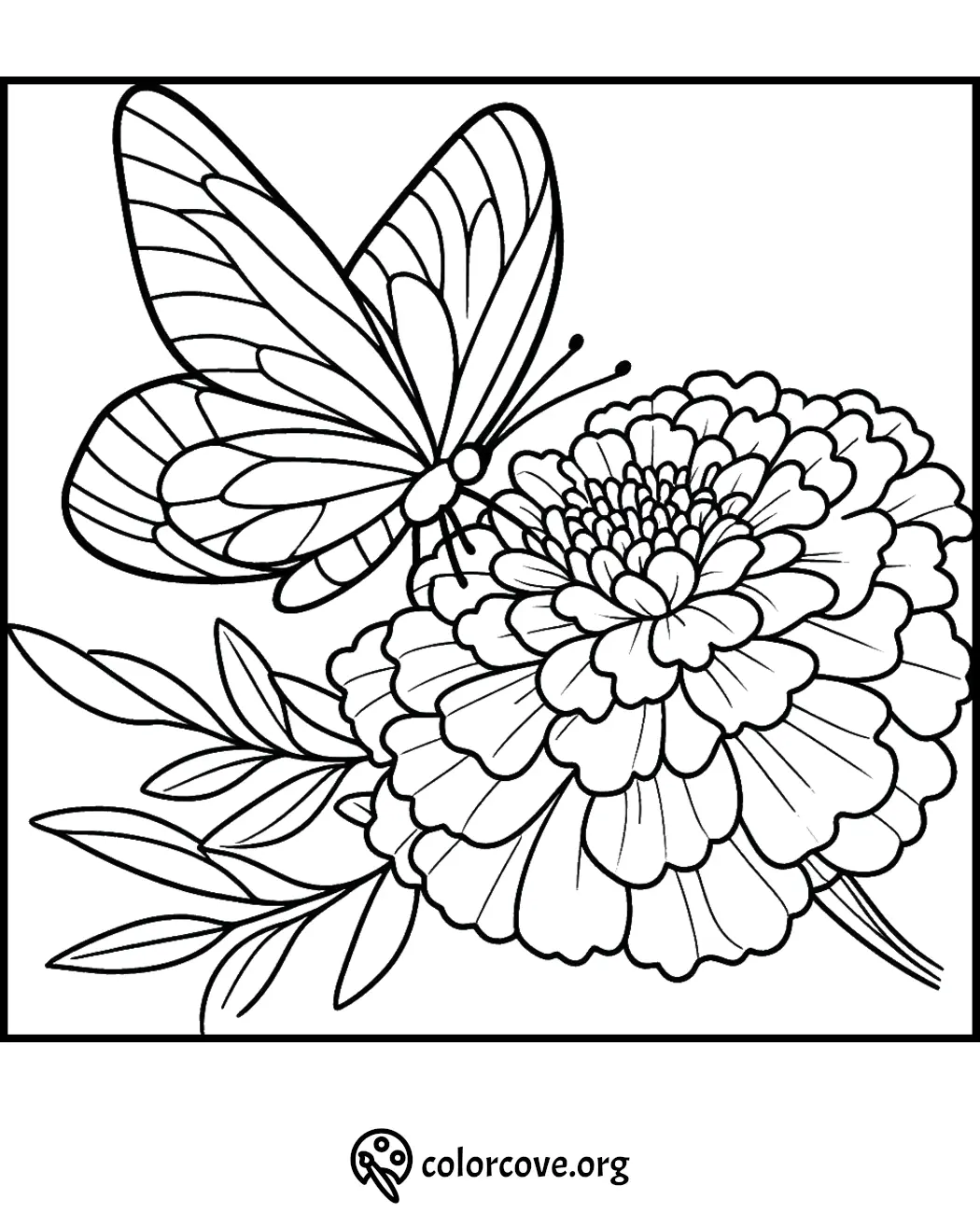 Butterfly on flower coloring page, free printable for kids and adults at ColorCove.