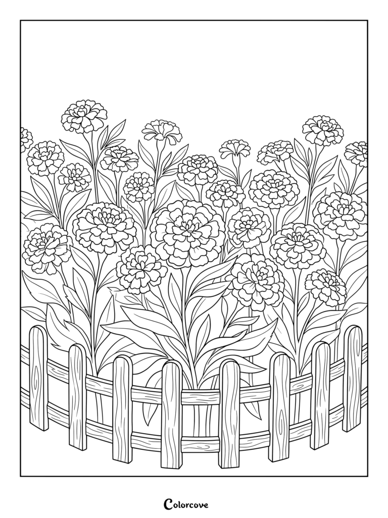 Detailed marigold coloring page featuring a wooden fence enclosing a garden bed full of blooming flowers and leaves.