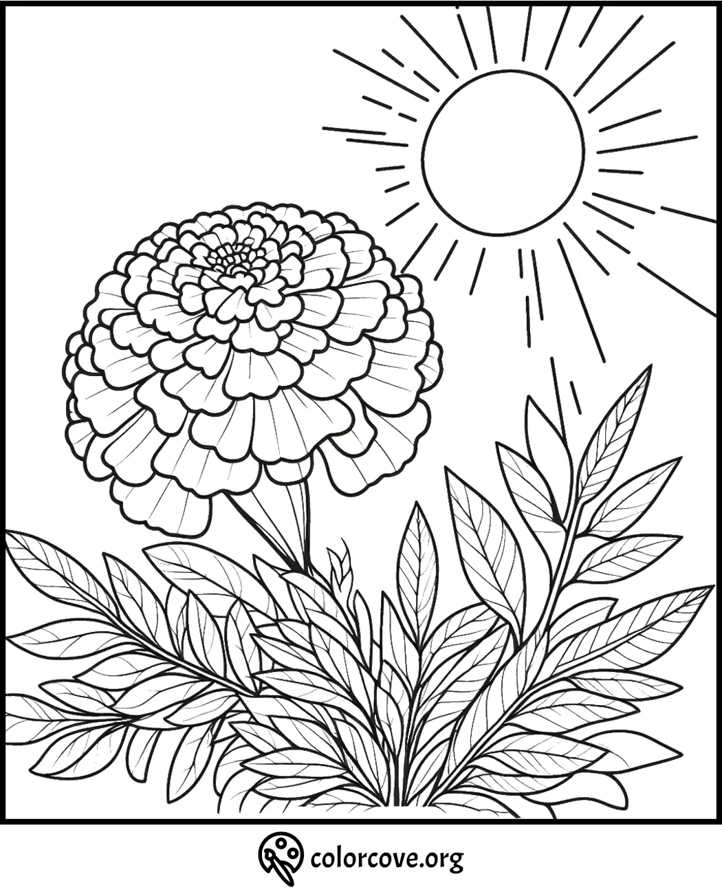 Flower and sun coloring page with detailed petals and leaves, perfect for creative relaxation and stress relief.