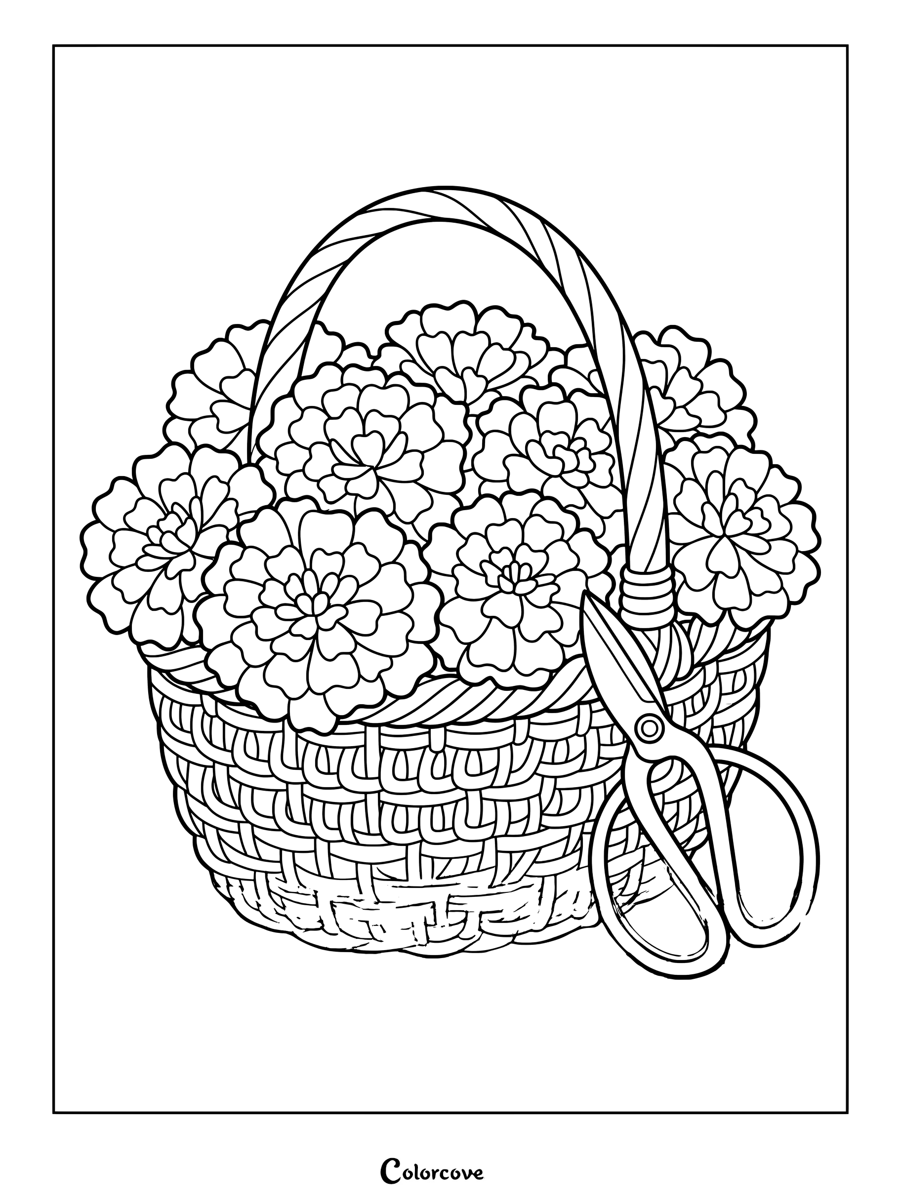 Coloriage d'une composition florale de souci dans un panier tressé avec un sécateur.