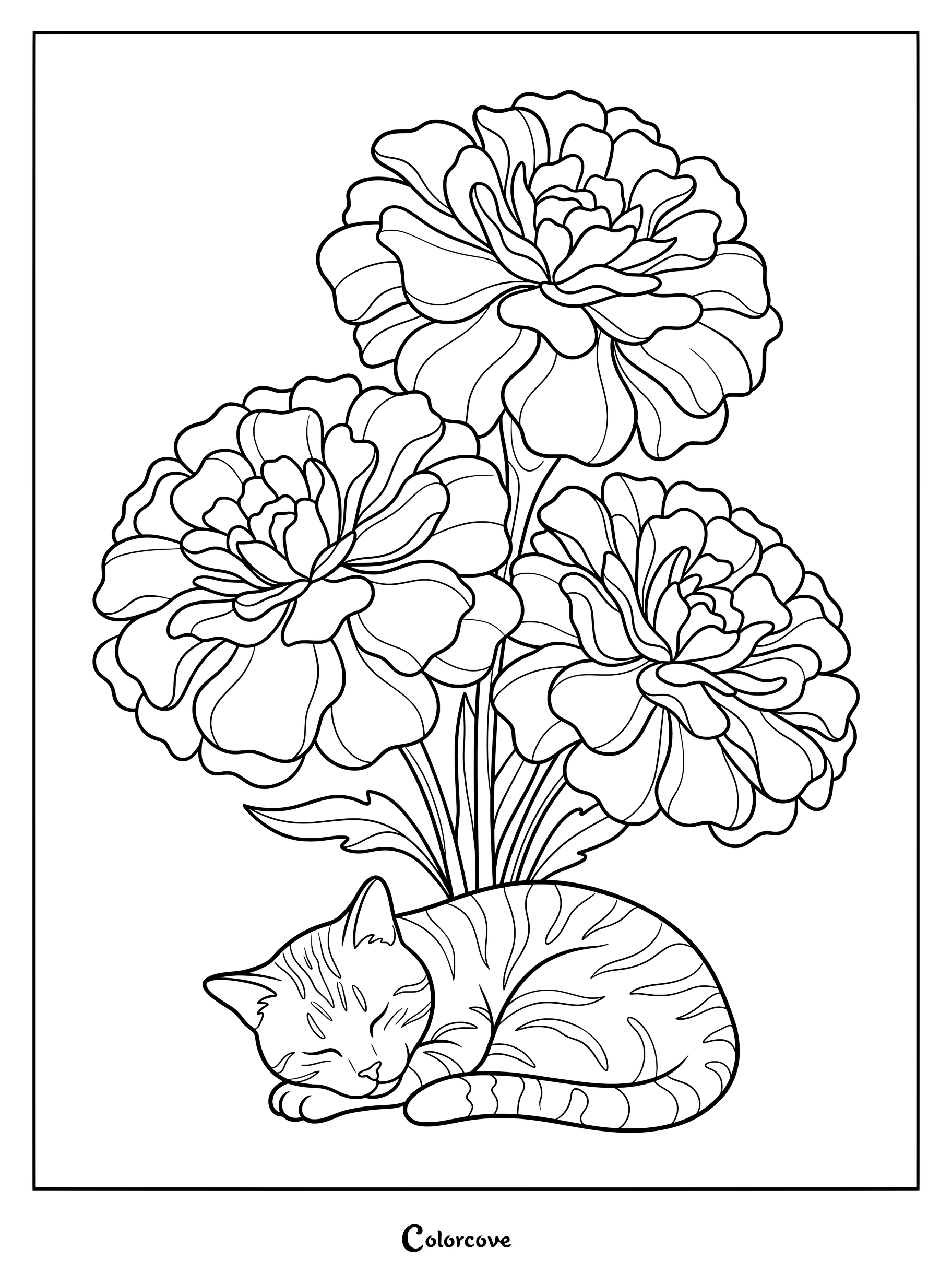 Un adorable chat tabby endormi repose paisiblement sous un bouquet de grandes fleurs de souci dans ce coloriage imprimable.
