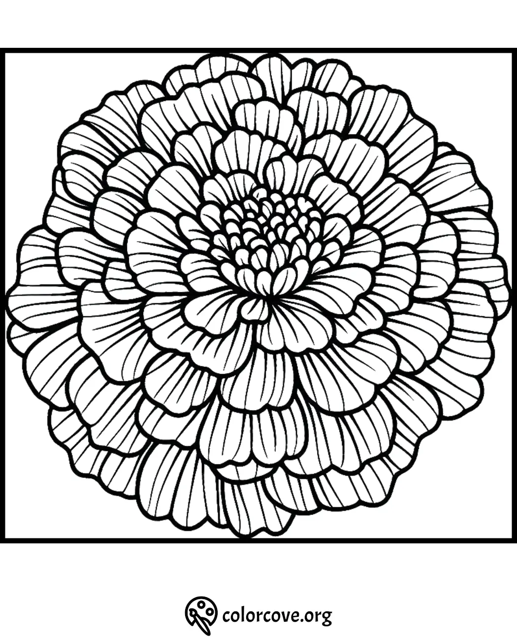 Flower coloring page with detailed petals for relaxing and creative coloring activities.