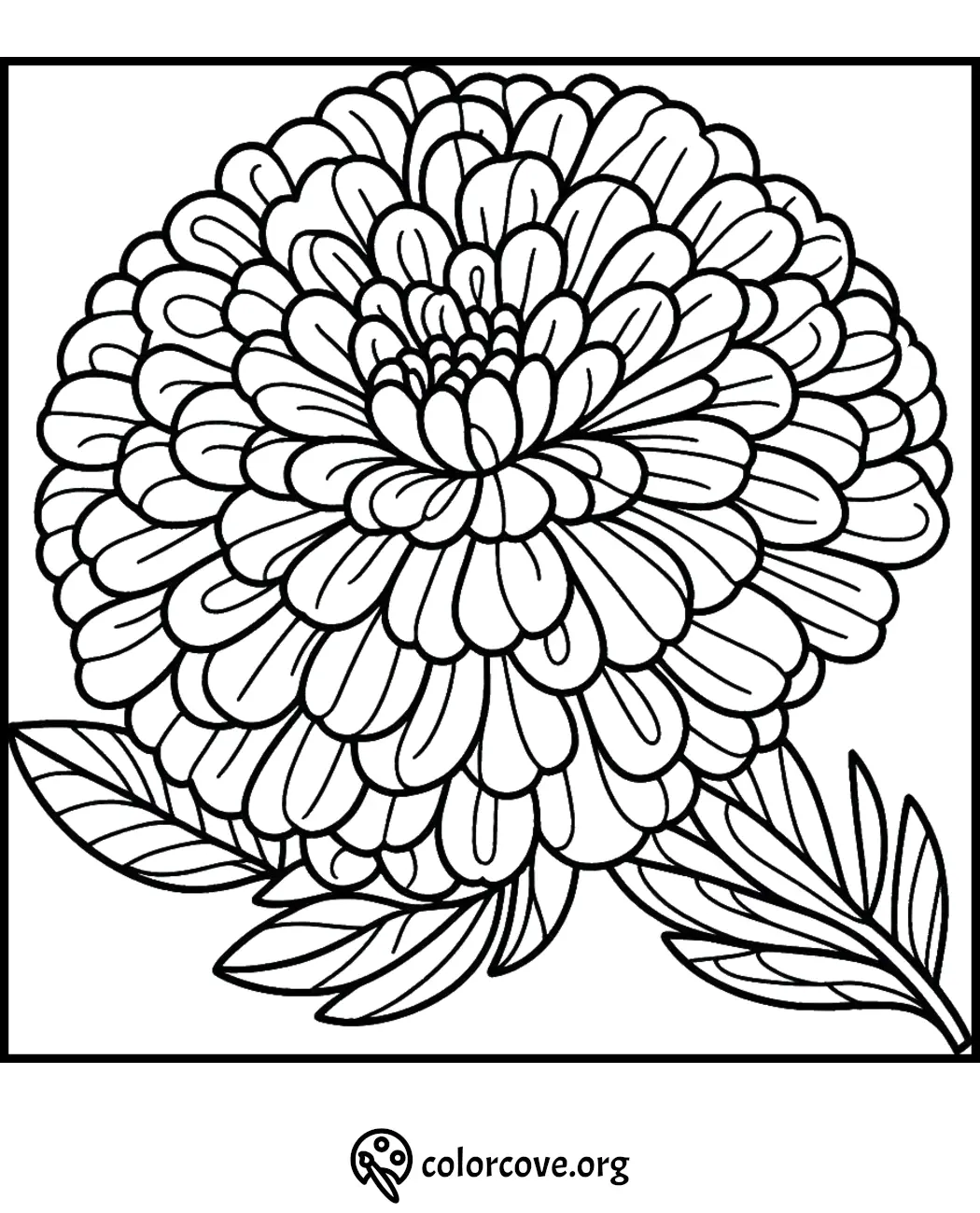 Detailed floral coloring page with intricate petal patterns for relaxation and creativity.