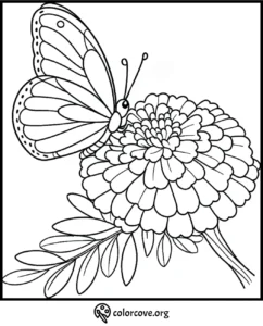 Butterfly on a flower coloring page, perfect for kids and adults to color and relax.
