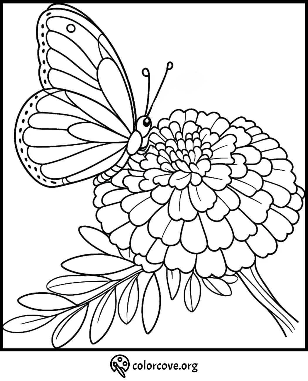 Butterfly on a flower coloring page, perfect for kids and adults to color and relax.