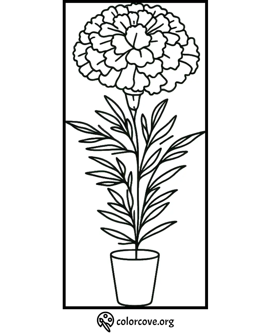 Coloring page of a potted marigold flower with detailed petals and leaves. Ideal for kids and adults.