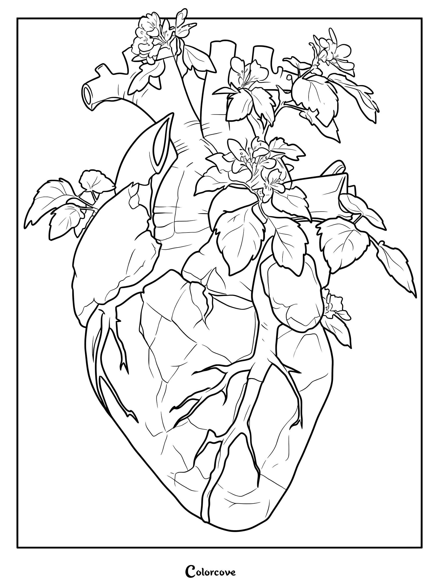 Una página para colorear con una detallada anatomía del corazón, que muestra flores en plena floración y enredaderas frondosas que crecen desde las arterias.
