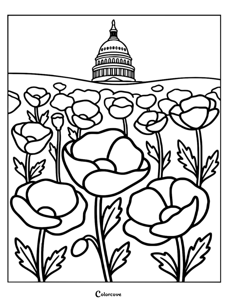 A Memorial Day coloring page featuring a field of blooming poppies in the foreground with the US Capitol building dome in the background.