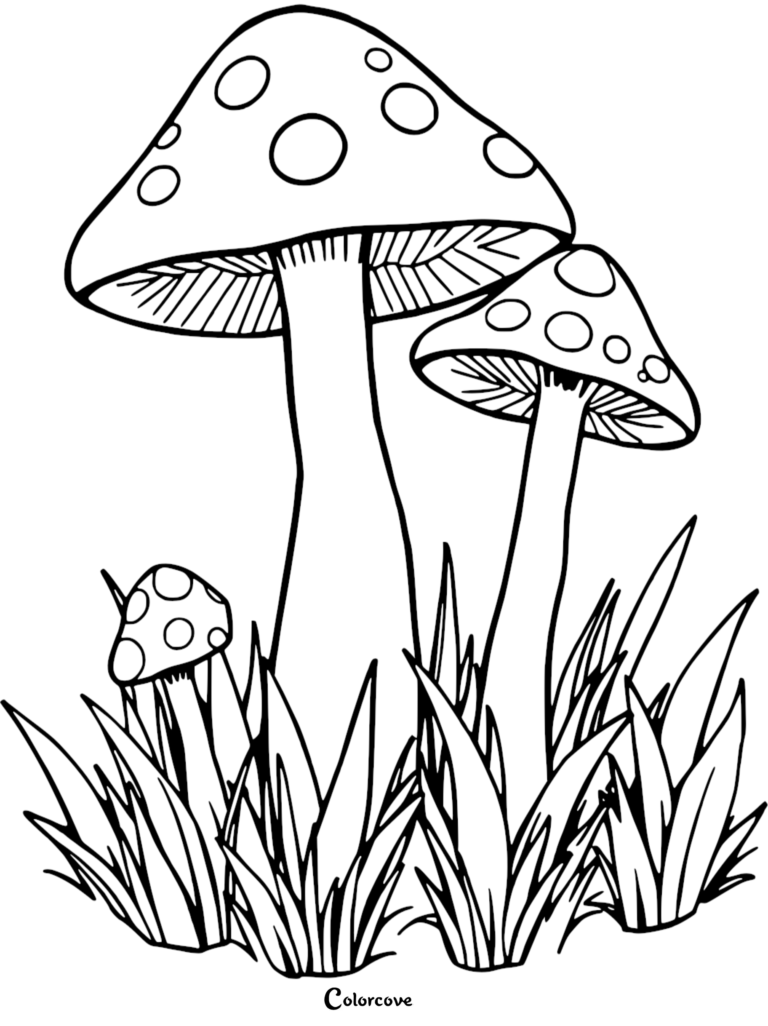 Three spotted mushrooms of varying sizes growing in tall grass, featured in a printable mushroom coloring page.