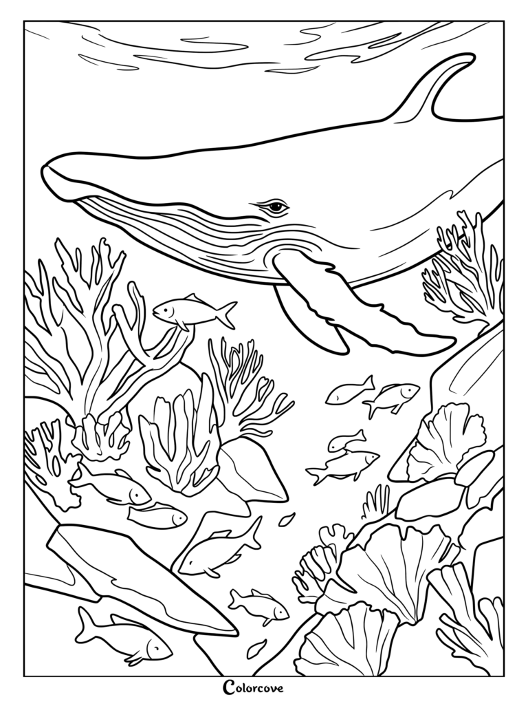 Página para colorear imprimible de una majestuosa ballena jorobada nadando sobre un vibrante arrecife de coral lleno de pequeños peces