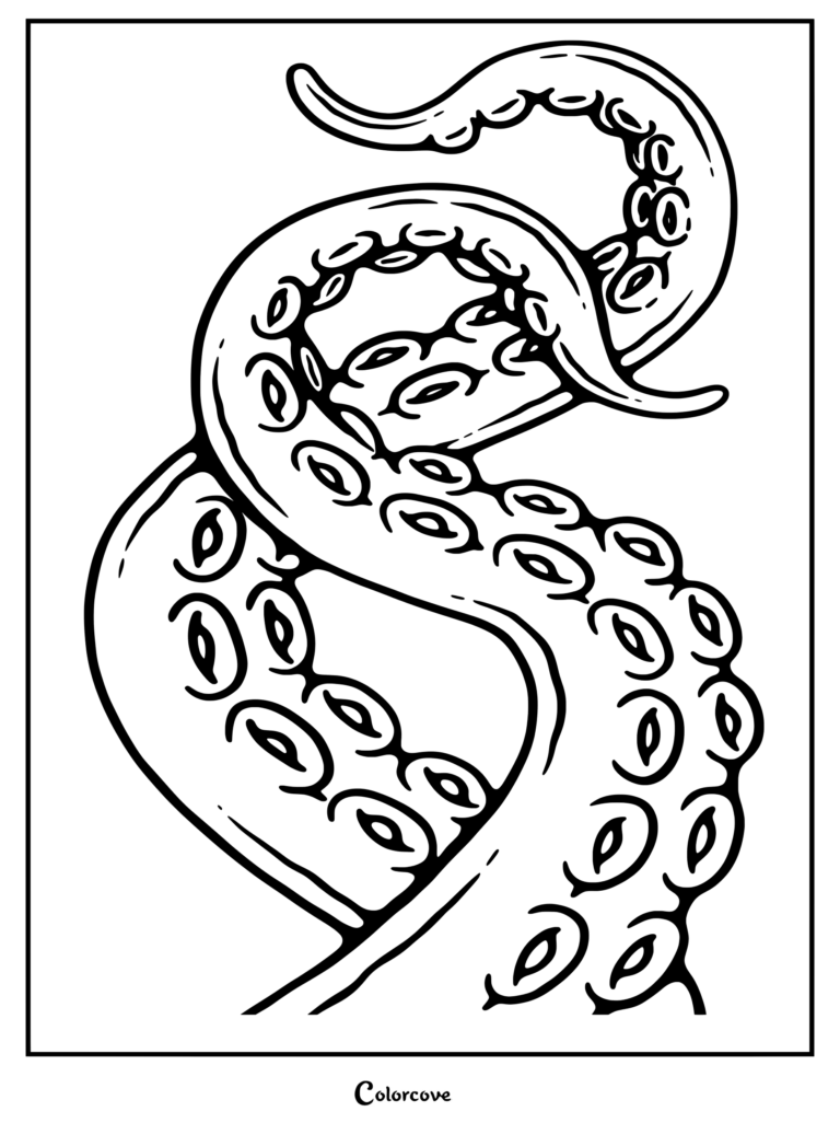 Close-up line art coloring page of an octopus tentacle featuring intricate suction cups, perfect for creative coloring