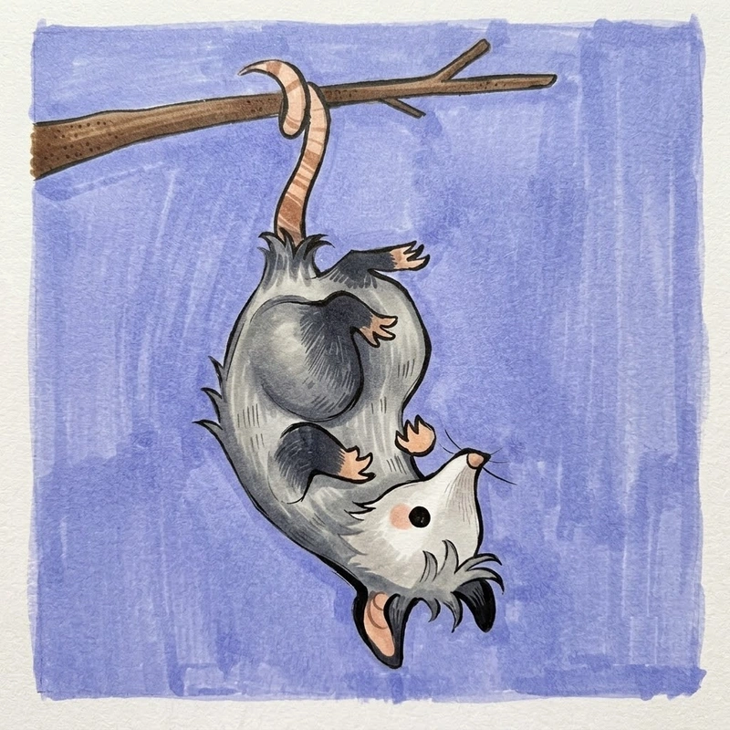 35 Opossum Coloring Pages: Cute & Spooky Printable Art