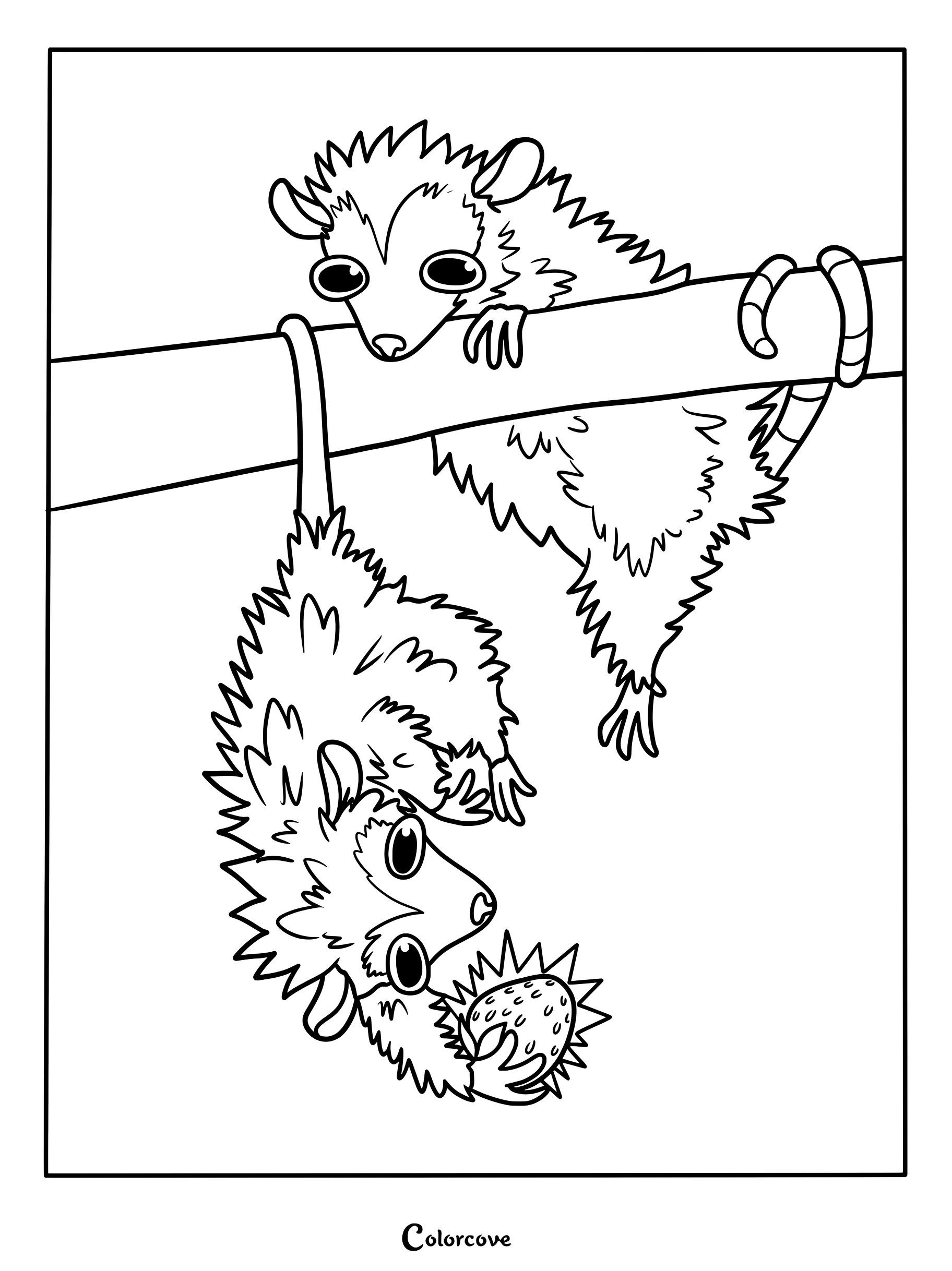 Two opossums hanging from a tree branch, one eating a strawberry, in a black and white coloring page.