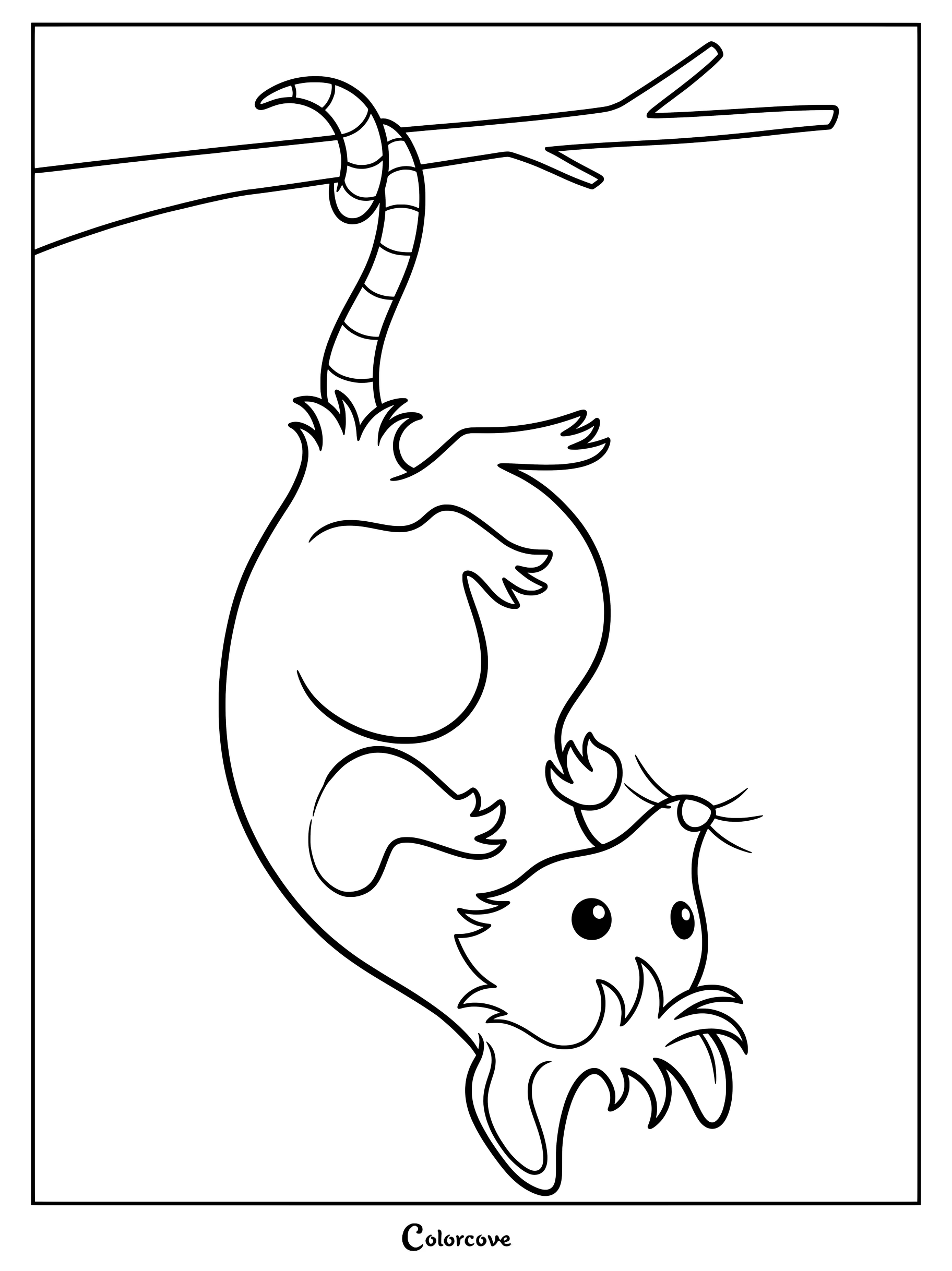 A cute opossum hanging upside down by its tail from a tree branch in this printable coloring page.