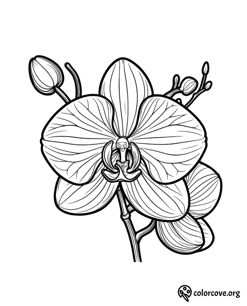 a black and white drawing of a flower