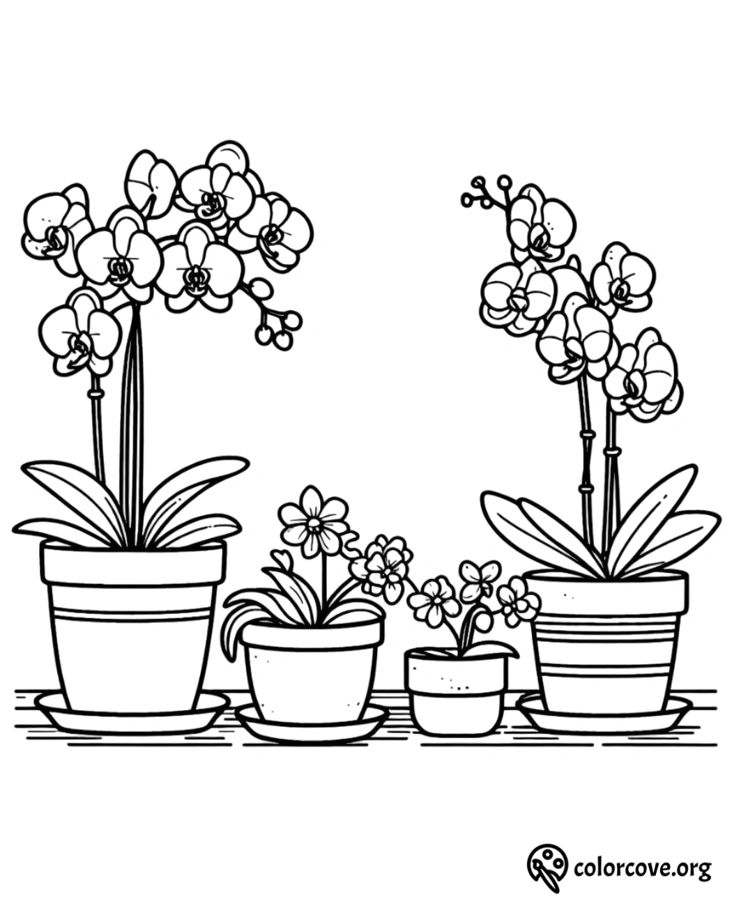 a line drawing of flowers in pots