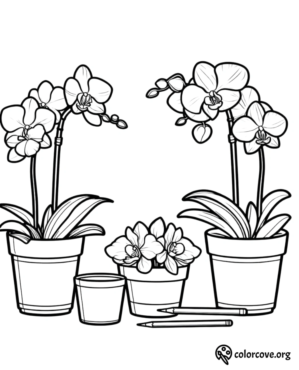 a coloring page of flowers in pots