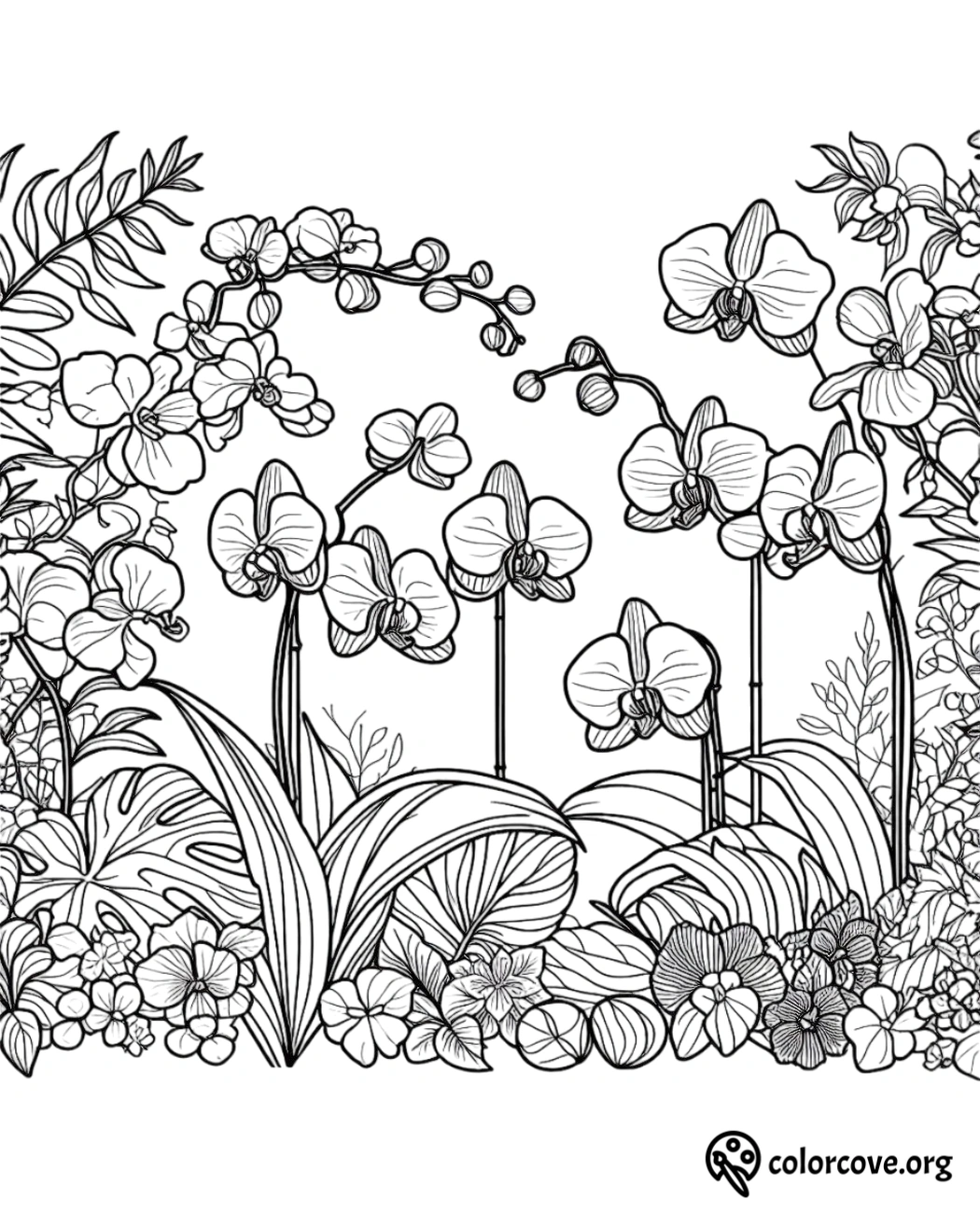 a black and white drawing of flowers and plants