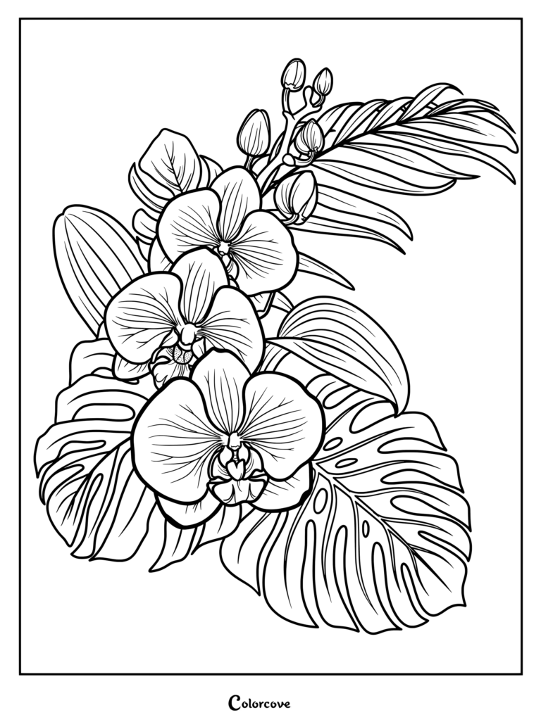 Detailed orchid coloring page featuring blooming phalaenopsis flowers, unopened buds, and tropical monstera leaves.