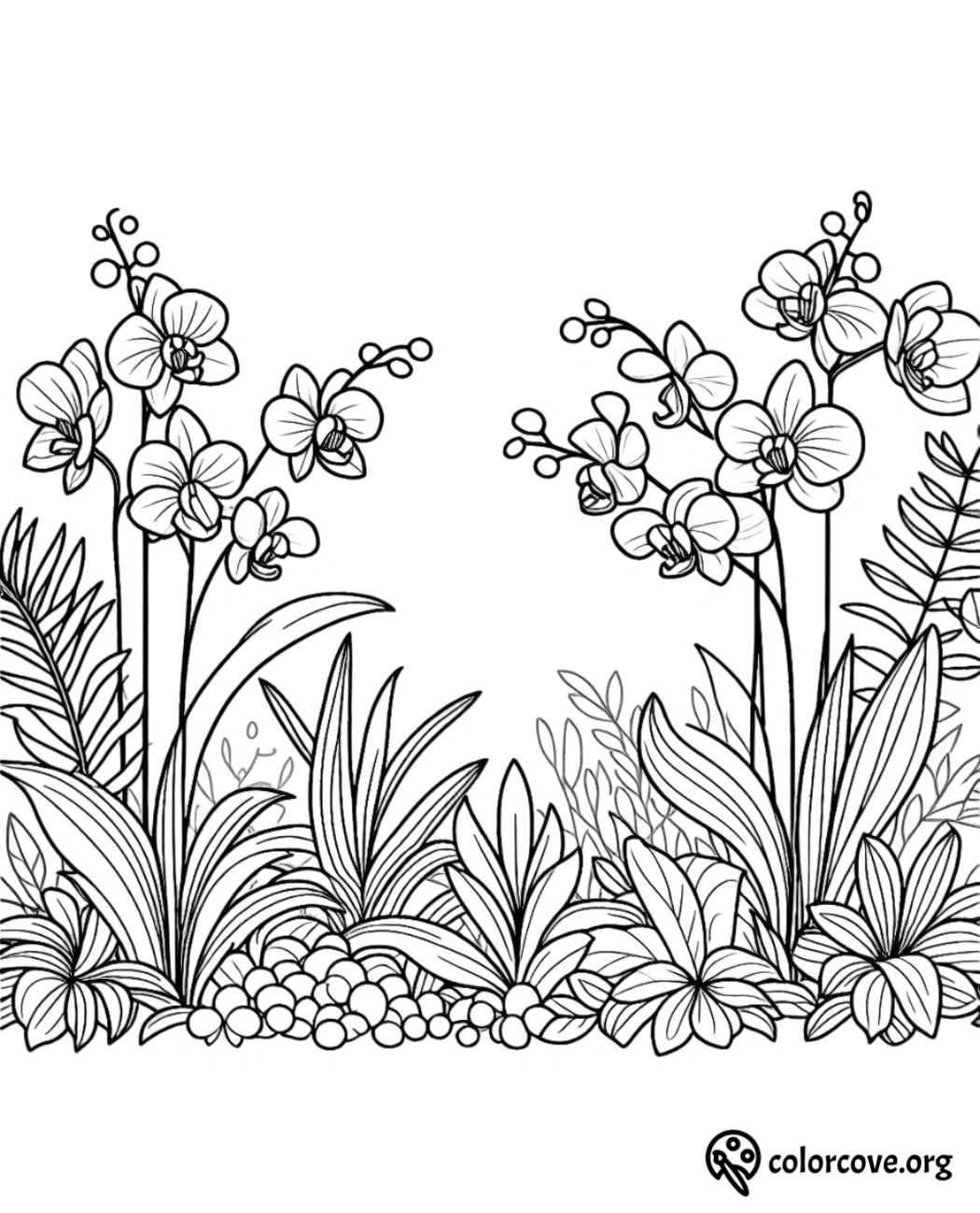 a black and white drawing of plants and flowers