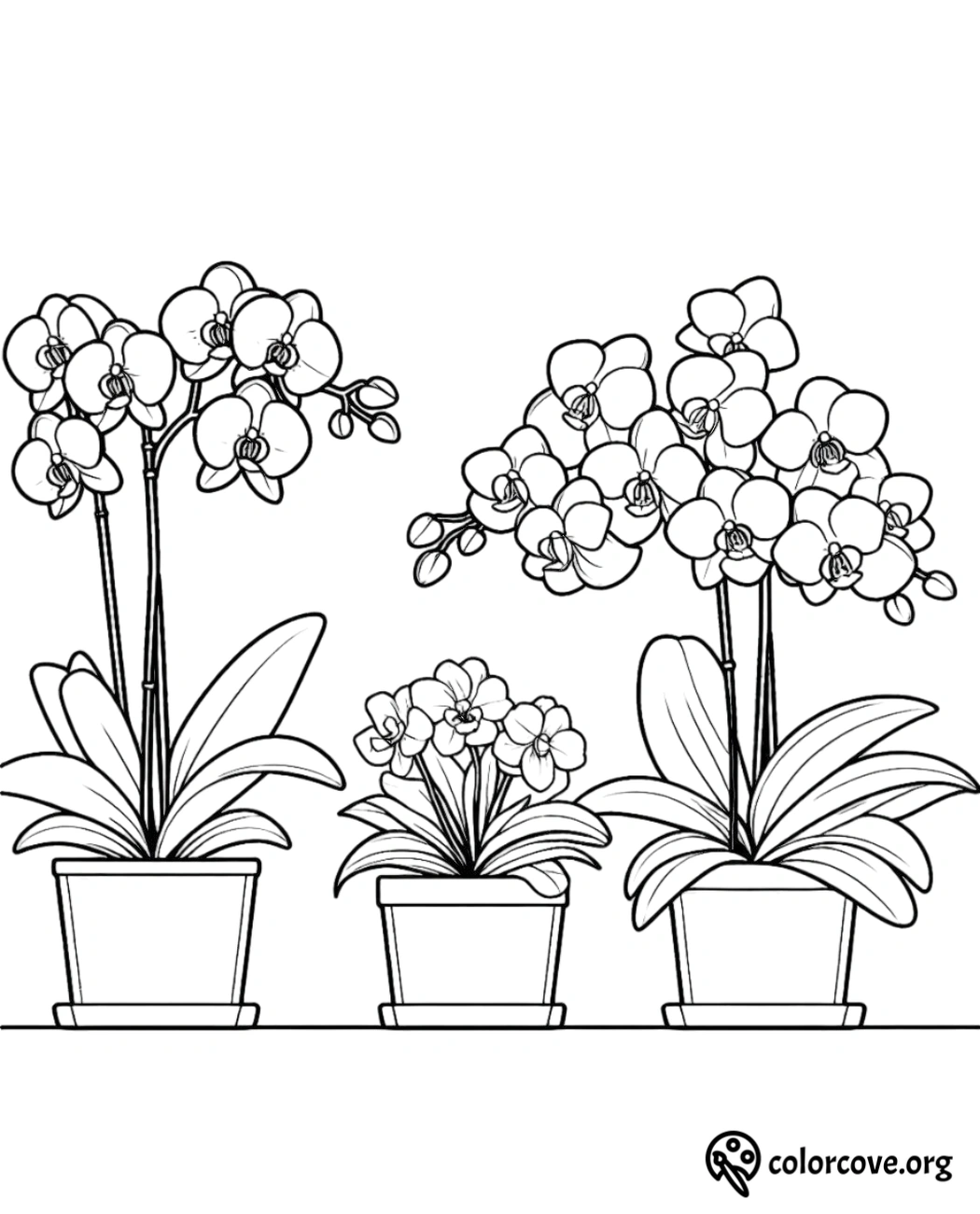 a line drawing of flowers in pots