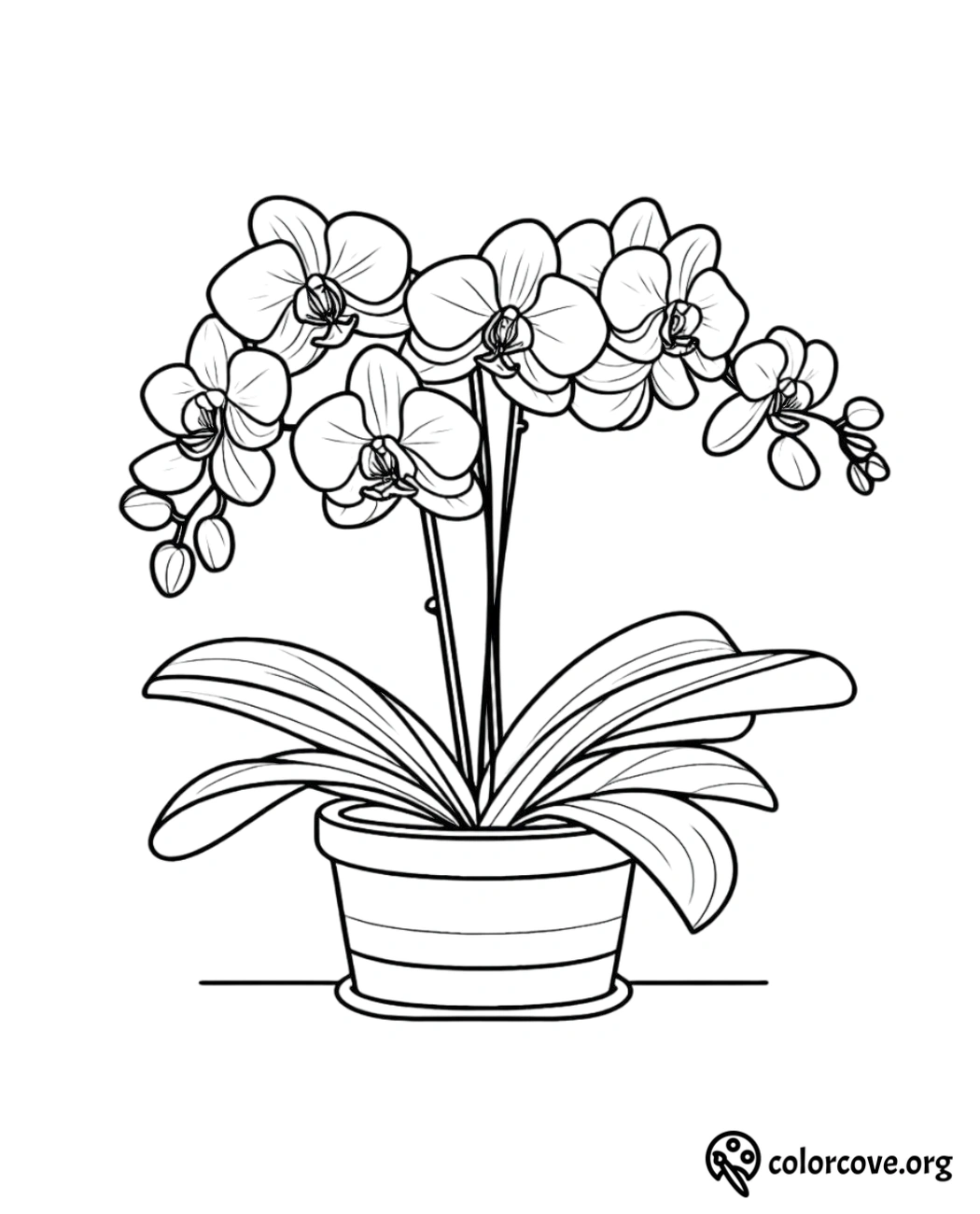 a black and white drawing of a plant